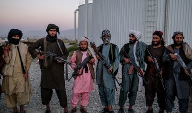 Taliban cancel public holiday for Nowruz but say celebrations allowed