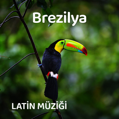Brezilya Müzikleri