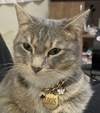 Louis