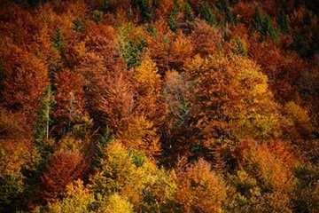 Bosna Hersek’te sonbahar renkleri