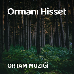 Rahatlatıcı Kuş Sesleri