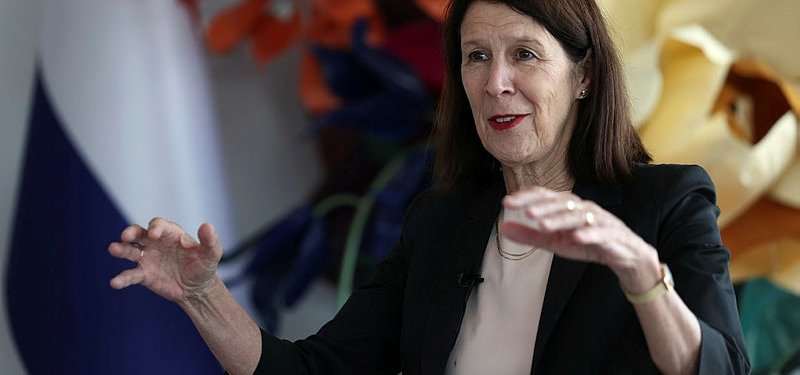 Türkiye is 'best' final posting before retirement: Dutch envoy