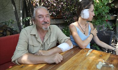 Italian tourists attacked by stray dogs during morning walk in Turkish valley