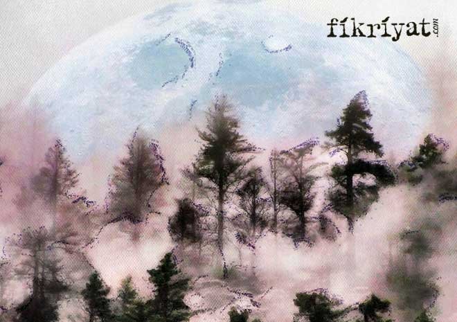 Türkçe ile benzerlikleri