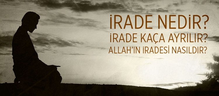 irade nedir allah in iradesi nasildir irade kaca ayrilir fikriyat irade nedir allah in iradesi nasildir irade kaca ayrilir fikriyat