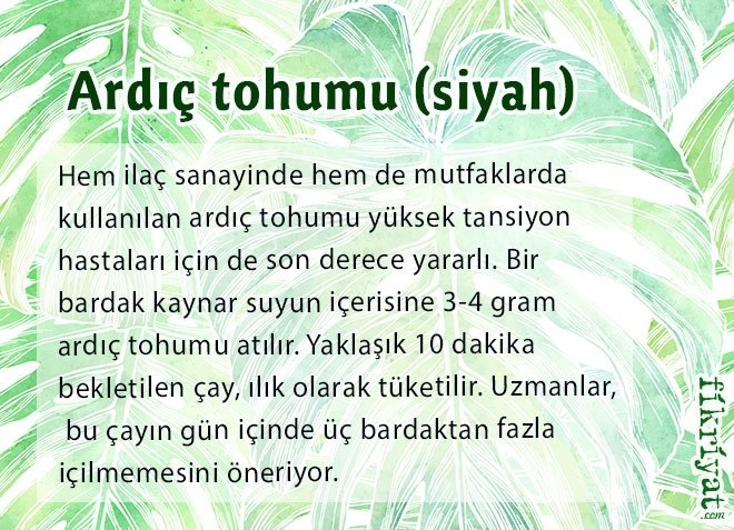Ardıç tohumu siyah