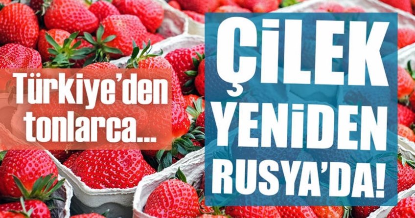 Türk çileği yeniden Rusya’da