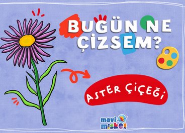 Bugün Ne Çizsem? Aster Çiçeği
