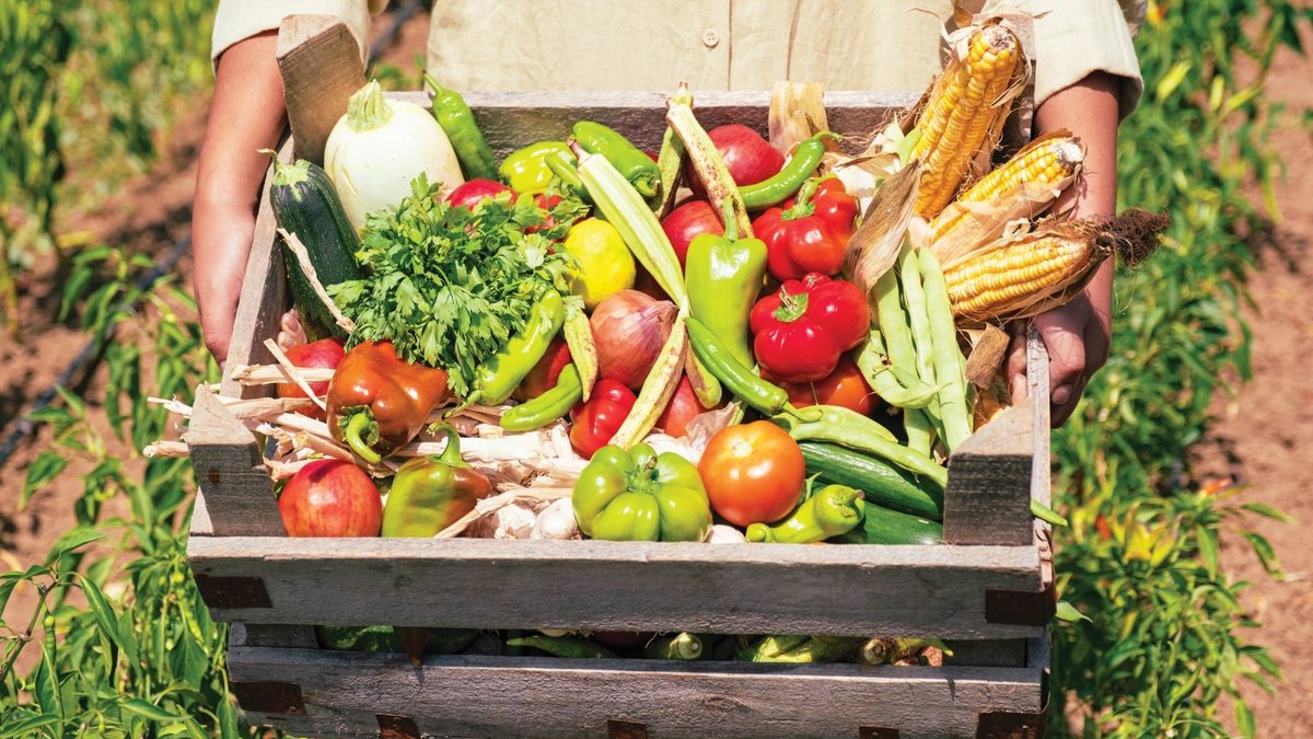 İzmit’in El Değmemiş Orman Köyü Fethiye’de Bir Çiftlik