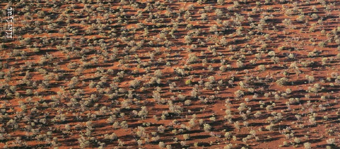 Büyük Victoria Çölü