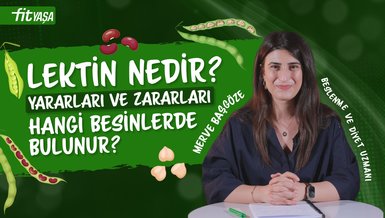 LEKTİN NEDİR? HANGİ BESİNLERDE BULUNUR?