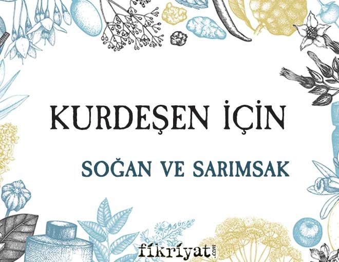 KURDEŞEN İÇİN SOĞAN VE SARIMSAK
