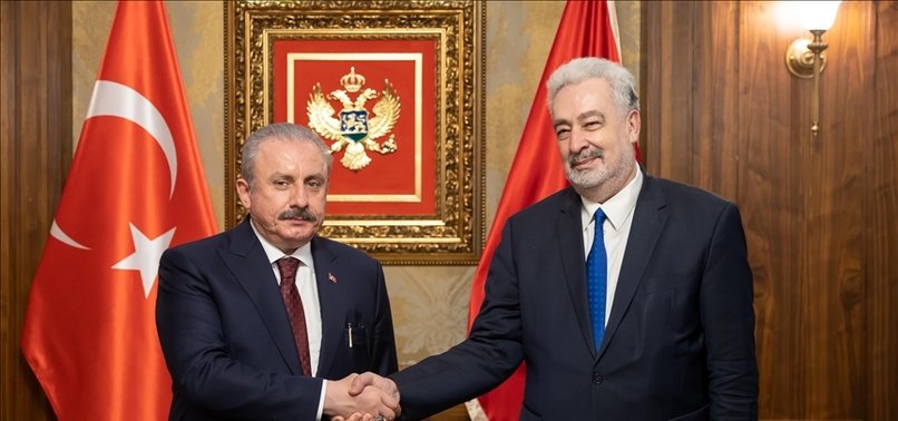 TURKEY, MONTENEGRO AGREE TO BOOST INTER-PARLIAMENTARY COOPERATION