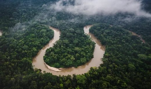 Increasing occurrence of drought tests Amazon rainforest’s resilience
