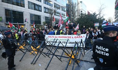 Pro-Palestine march that began in Paris ends in Brussels