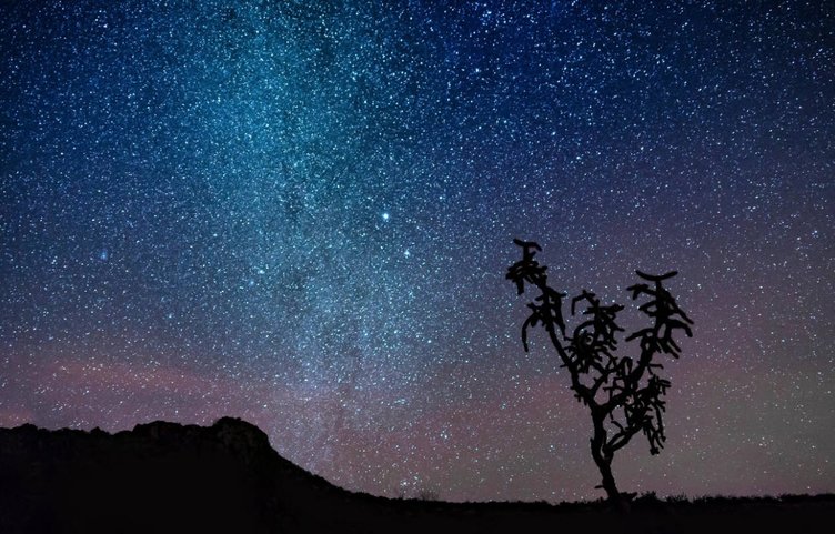 musluman alimlerin kesfettikleri doga