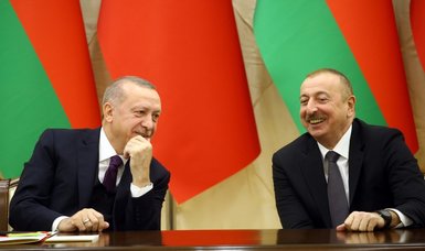Azerbaijani diaspora thanks Turkey's Erdoğan for support on Karabakh issue