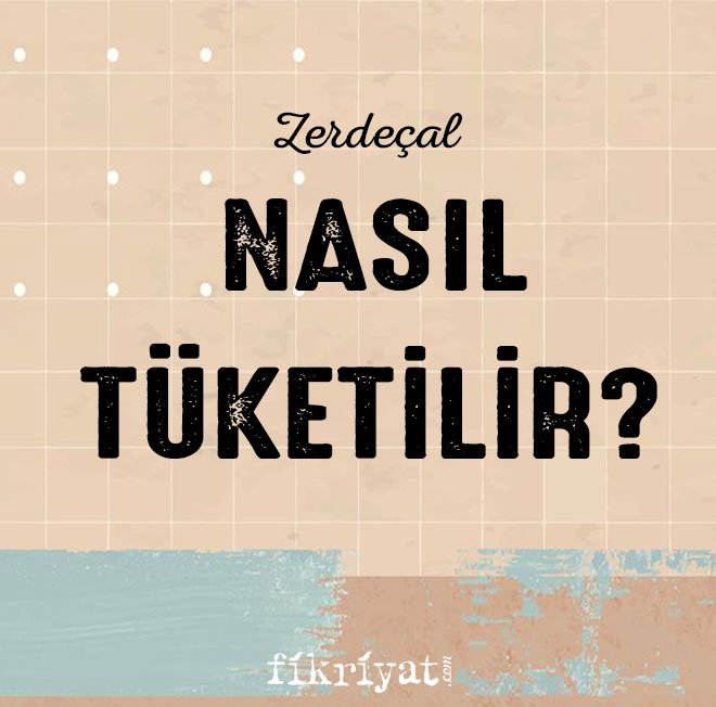 ZERDEÇALI NASIL TÜKETEBİLİRİZ?