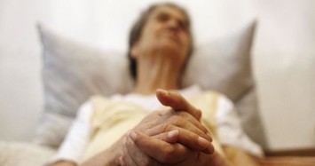 Dutch euthanasia clinic reports sharp rise in enquiries