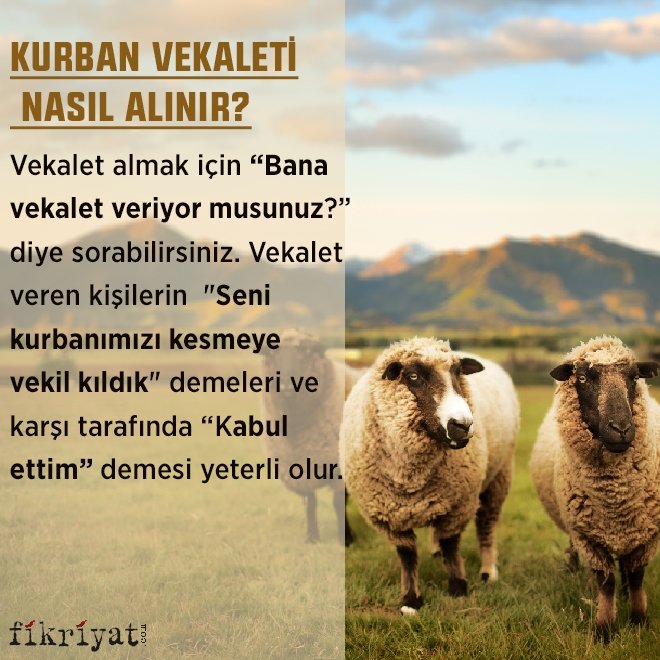 kurban vekaleti verilirken ne denir