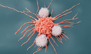 US research team achieves breakthrough in targeted cancer treatment
