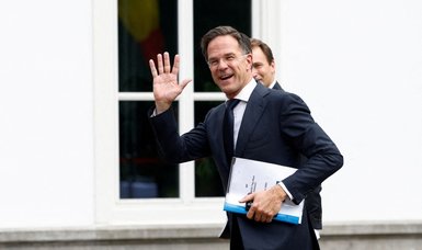Dutch PM meets king after government falls