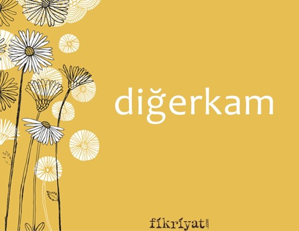 DİĞERKAM