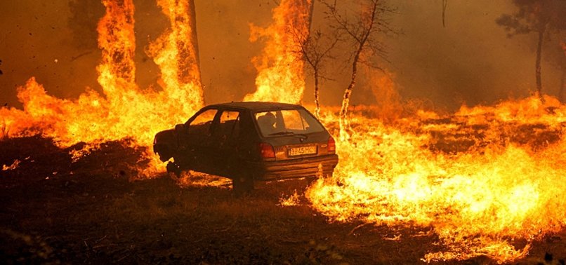 WILDFIRE DAMAGE IN PORTUGAL MORE THAN DOUBLES AHEAD OF SUMMER FIRE SEASON