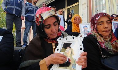 Kurdish families, holding anti-PKK sit-in protest, 'feel empowered thanks to Erdoğan'