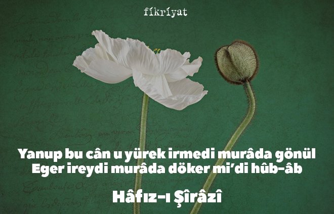 Hafız Divanından Alıntılar