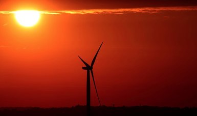 IEA report forecasts big growth for renewable energy this year