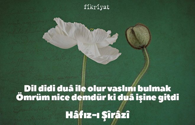 Hafız Divanından Alıntılar