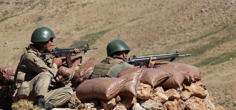 2 PKK TERRORISTS NEUTRALIZED IN SOUTHEAST TURKEY
