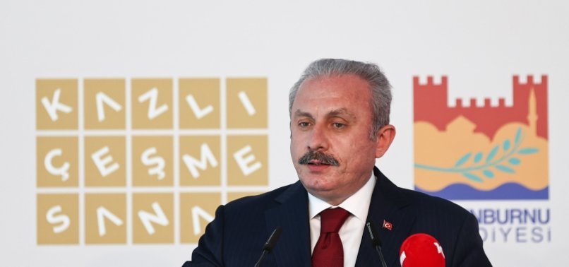 TURKEY PARLIAMENT HEAD DENIES EUROPEAN PARLIAMENT CLAIM