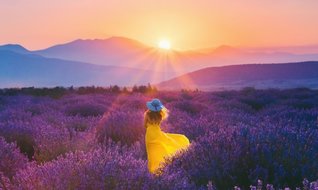 Turizmde yeni trend lavanta yetiştirmek