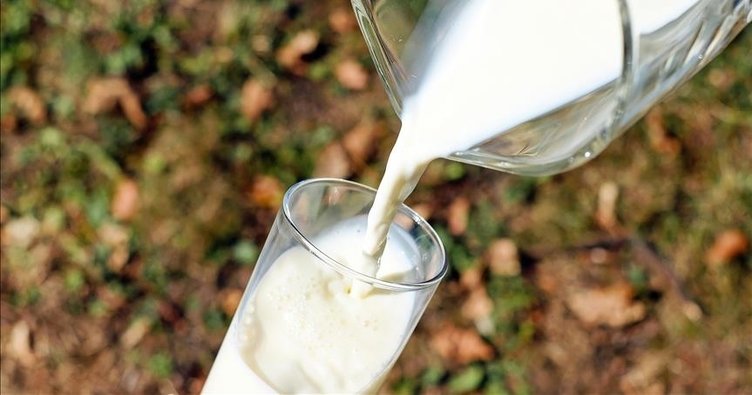 TÜİK açıkladı: Süt, peynir, yoğurt, kefir ve ayran üretimi arttı!