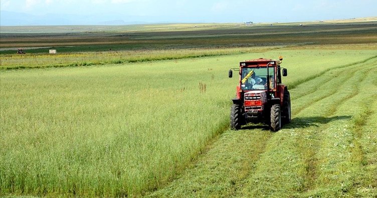 TÜİK açıkladı: Tarımsal Girdi Fiyat Endeksi kasımda arttı