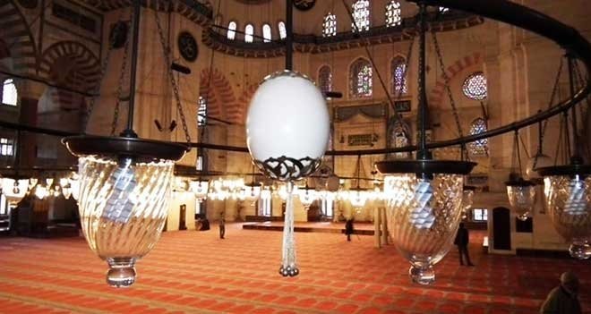 DEVE KUŞU YUMURTALARININ SIRRI