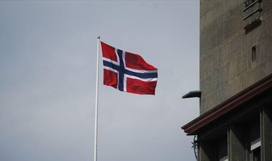 Norway's child protection body under heavy criticism