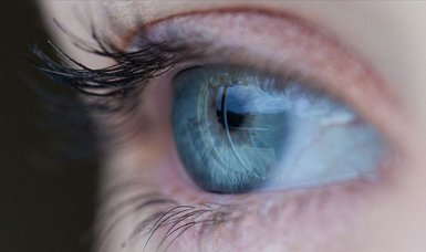 The science and beauty behind eye color diversity