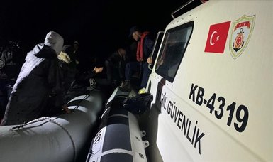 Türkiye rescues over 140 irregular migrants after illegal Greek pushbacks