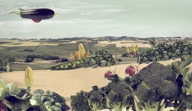 BAŞKA BİR ÇİFTÇİLİK MÜMKÜN