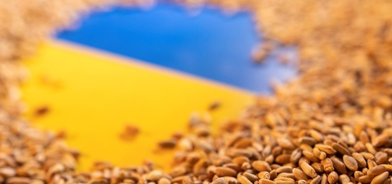 BULGARIAN PARLIAMENT VOTES TO LIFT BAN ON GRAIN IMPORTS FROM UKRAINE