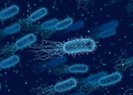 Bilim insanları, yapay zekayla süper bakteriye karşı yeni bir antibiyotik keşfetti