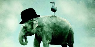 Sistemler ve istemlerin âhengi