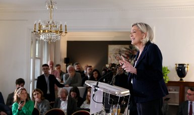 Le Pen distances party from AfD over immigration row