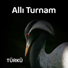 Duvarda Sazım