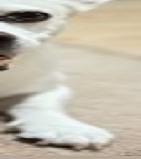 Odie
