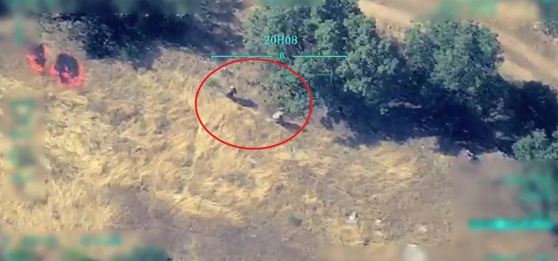 TURKISH DRONES CAPTURE IMAGES OF PKK TERRORISTS BURNING FORESTS IN NORTHERN IRAQ