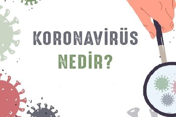 Koronavirüs diğer salgınlardan ne kadar tehlikeli? Corona Korona Virüsü Nedir?